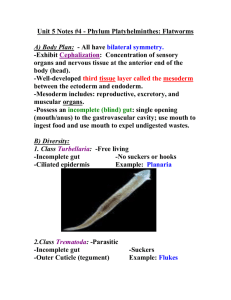 Unit 5 Notes #4 - Phylum Platyhelminthes: Flatworms