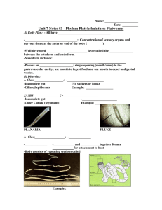 Unit 5 Notes #4 Flatworms Fill In - Mr. Lesiuk