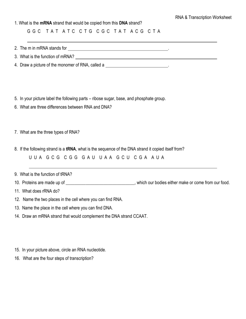 Trna And Mrna Transcription Worksheet With Answer Key ...