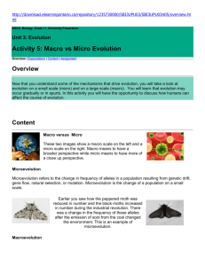 Activity 5: Macro vs Micro Evolution