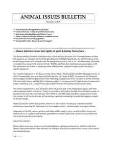Animal Issues for December 6, 2010