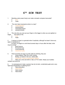 Sample SCW Test 6