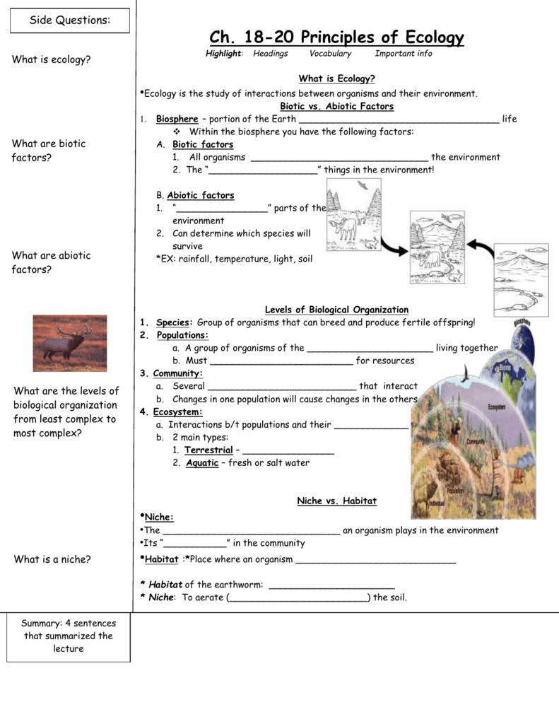 Principles of Ecology - Paint Valley Schools Pertaining To Principles Of Ecology Worksheet Answers