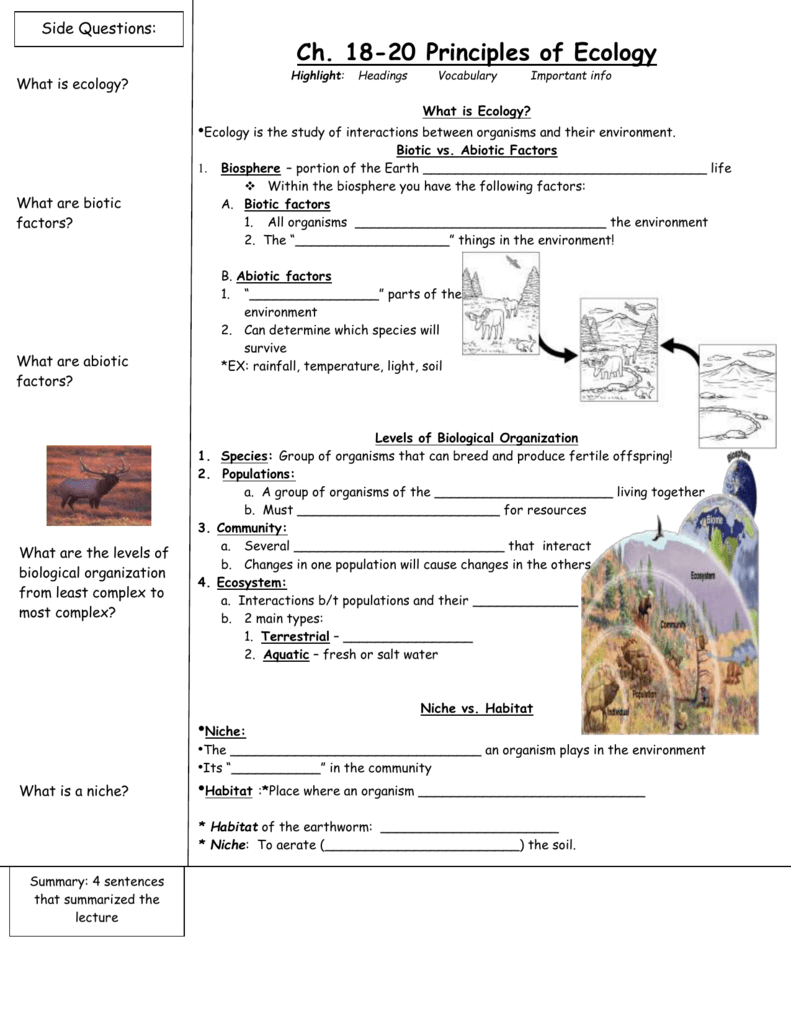 Principles of Ecology - Paint Valley Schools With Principles Of Ecology Worksheet Answers