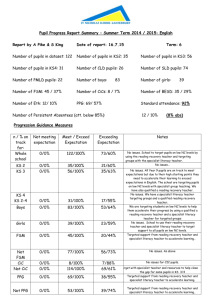 Pupil Progress Report Summary – Summer Term 2014 / 2015