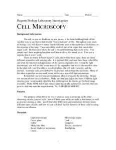 Cell Microscopy - MisterSyracuse.com