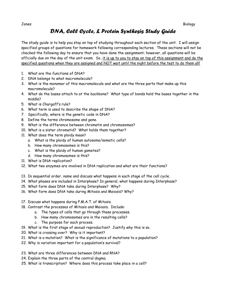 Bio Dna Unit Review Worksheet - 30 Dna Replication ...