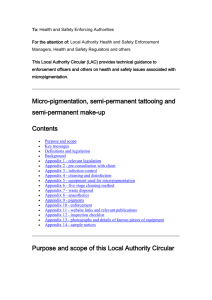 Appendix 10: enforcement - Lisburn & Castlereagh City Council