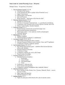 Study Guide for Animal Physiology Exam (Part B of Final Exam)