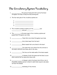 The Circulatory System Vocabulary