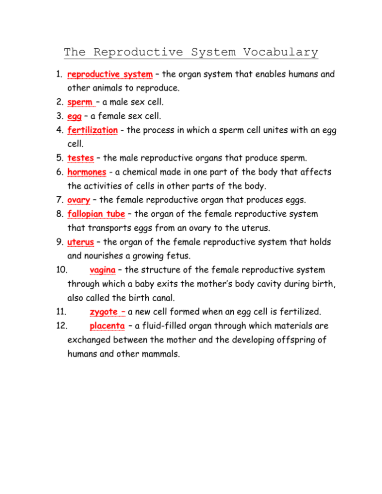 female-reproductive-system-worksheet-answers-acestips