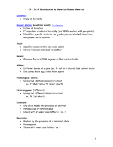 Ch 11/14 Genetics