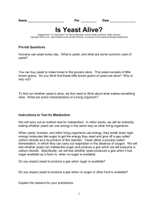 Is Yeast Alive