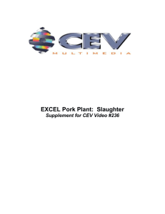 EXCEL Pork Plant - Slaughter (CEV00236).