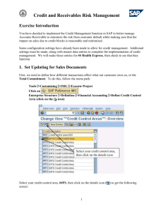 Credit & Receivables Risk Exercise