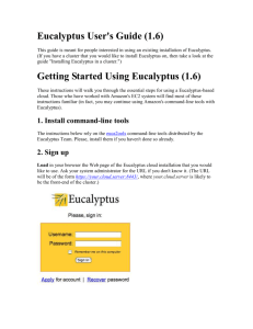 Eucalyptus User's Guide (1