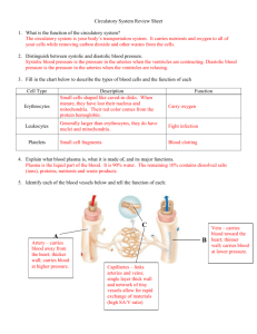Circulatory System Review Sheet