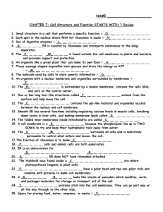 CHAPTER 4: Cell Structure and Function Review Crossword