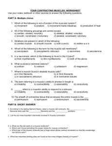 your contracting muscles: worksheet