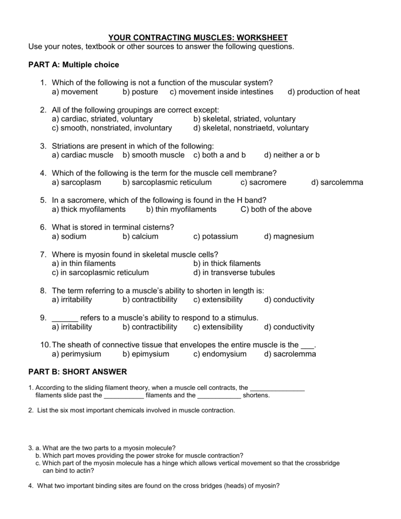 your-contracting-muscles-worksheet
