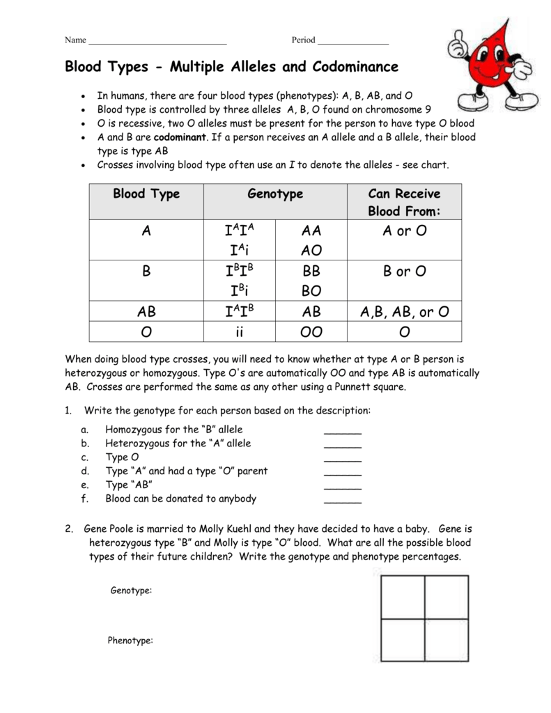 Multiple Alleles Worksheet Pdf Answers