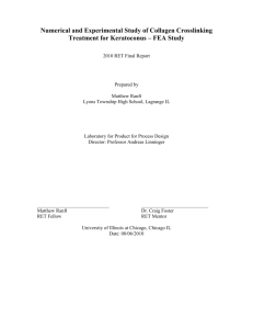 RET 2010 Final Report - LPPD - University of Illinois at Chicago