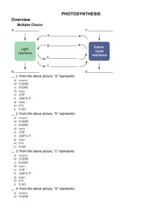 photosynthesis