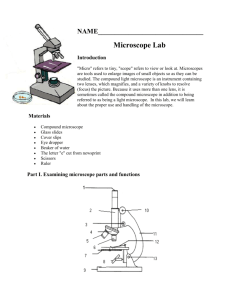 Introduction to the Microscope Lab Activity