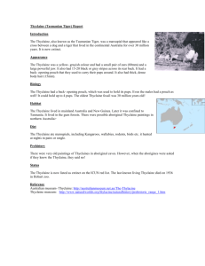 Thyclaine (Tasmanian Tiger) report - 6FH-YCIS