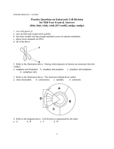Practice Questions on Euk Cell cycle for Mid-Year