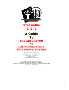 Treewalks - California State University, Fresno