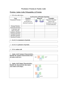Worksheet: Proteins & Nucleic Acids Proteins: Amino Acids