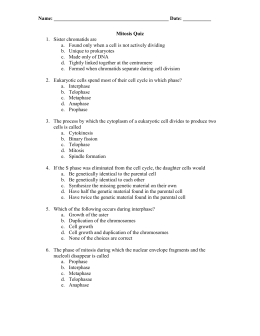 MITOSIS WORKSHEET
