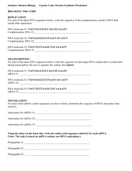 EXTRA CR. transcription and translation worksheet