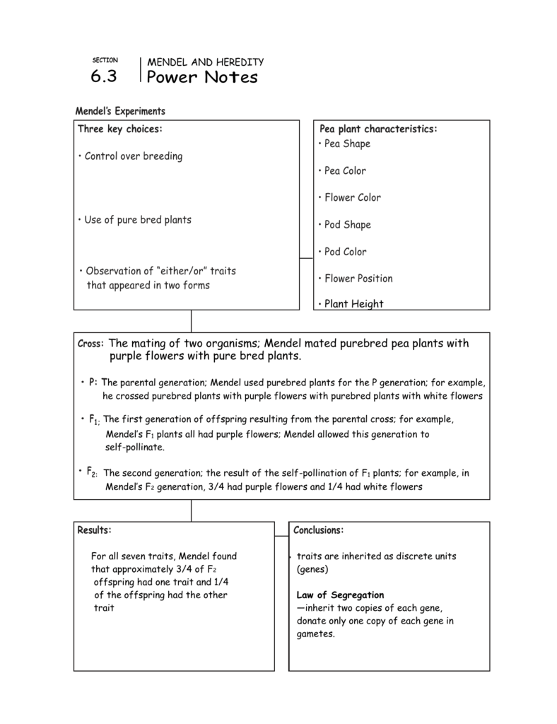 Mendel And Basic Genetics Packet Ws Answers / Non ...