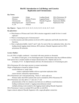DNA Replication Worksheet