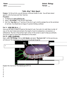 cell webquest bio with answers 2010