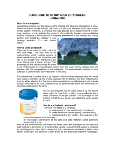 urinalysis - Alpine Animal Hospital