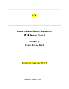 CDM Annual Report Template