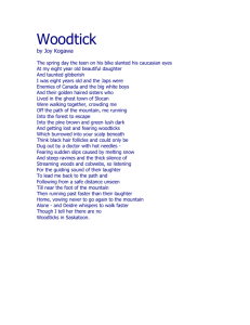 Woodtick - DonnellyWikiOfGreatness