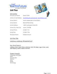 Unit Plan Template - Austin Independent School District