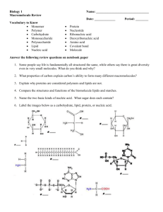Biology: Macromolecule Review Worksheet