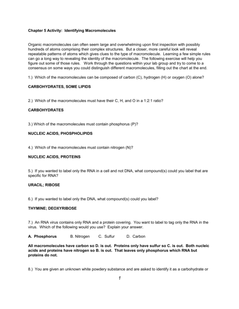 Ch 5 Macromolecules Worksheet Key