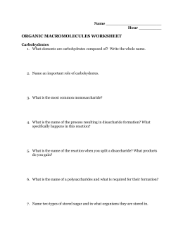 Elements & Macromolecules in Organisms