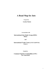 Project Report - International Jute Study Group