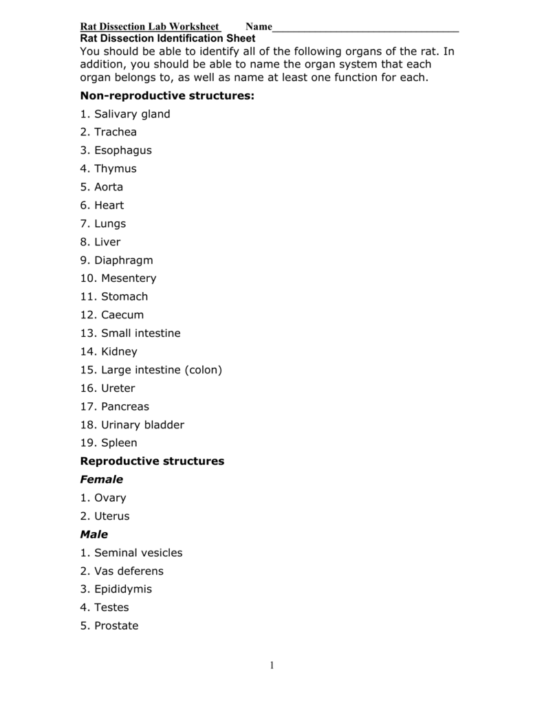 Rat Dissection Lab Worksheet