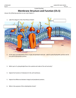 Worksheet - Comparison of Membrane Transport ANSWER KEY