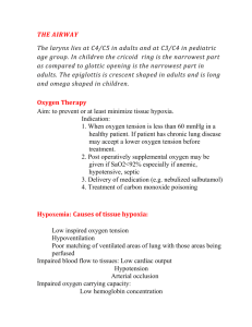 LECTURE4-THE AIRWAY-undergraduate