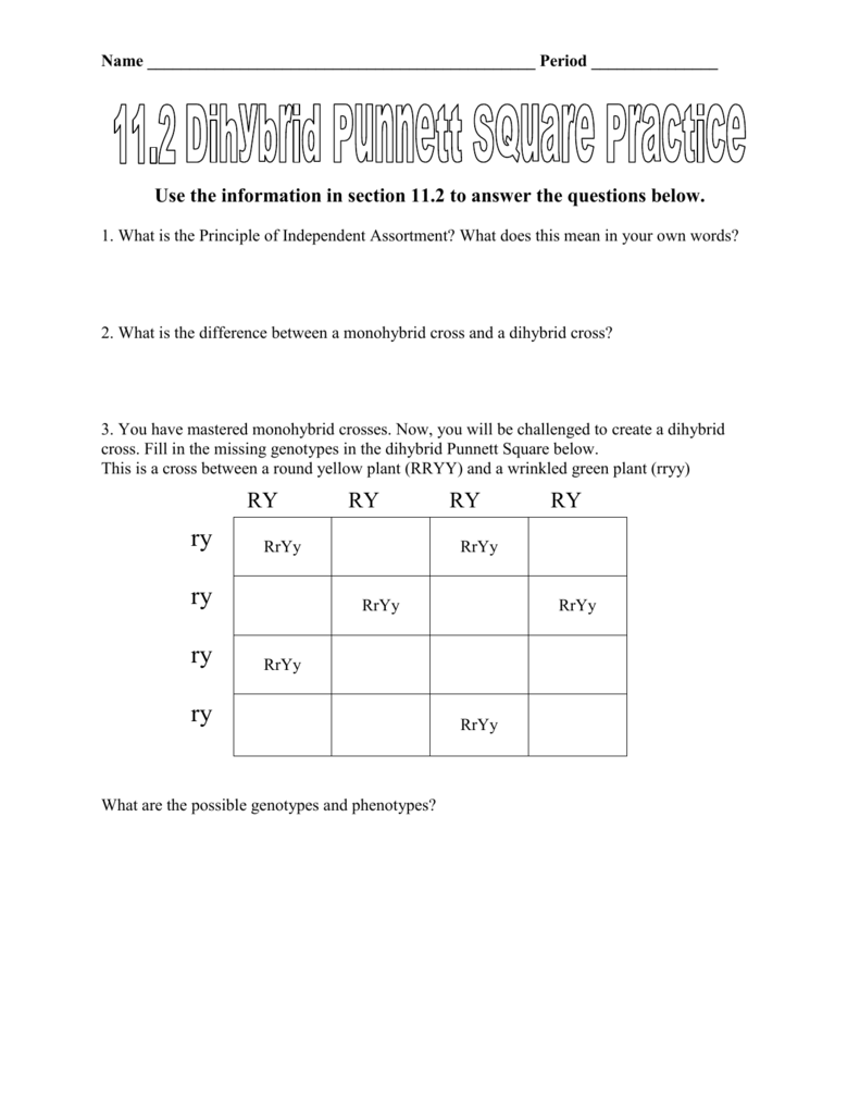 dihybrid-punnett-square-practice-problems-answers-the-shoot
