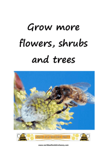 Grow more flowers, shrubs and trees Grow more flowers, shrubs and